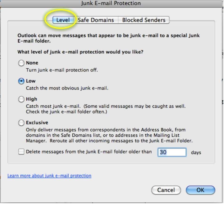 Junk Email Protection Window